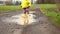 Close-up of little toddler girl wearing yellow rain boots and walking and running during sleet on rainy day. Cute child
