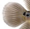Close-up of a Living Legend\'s caudal fin, Flowerhorn cichlid