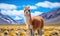Close-up llama stands tall in a vast Bolivian field. Created by AI