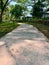 Close up long curve cement pathway in the forest