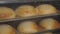 Close-up of a lot of burger buns baked in the oven in the restaurant kitchen.