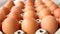 Close up of lot chicken eggs in a package