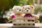Close up lovely brown two teddy bear in wooden box concept, love