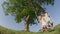 CLOSE UP LOW ANGLE: Lovely infatuated couple swaying on a swing in green meadow.