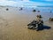 Close up Lugworm casts with idyllic ocean and endless horizon on the beach