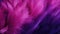 Close-up of luxurious pink and purple feathers