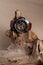 Close up of Luxury man wrist watches placed on timber in brown background or isolated