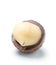 close-up of macadamia nut