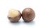 close-up of macadamia nuts