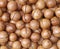 Close up of macadamia nuts before processing