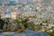 CLOSE UP: Macaques sit and play on a ledge overlooking the city of Kathmandu.