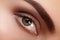 Close-up macro beautiful female eye with perfect shape eyebrows. Clean skin, fashion natural smoky make-up. Good vision