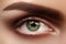Close-up macro beautiful female eye with perfect shape eyebrows. Clean skin, fashion natural smoky make-up. Good vision