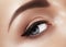 Close-up macro of beautiful female eye with perfect shape eyebrows. Clean skin, fashion naturel make-up. Good vision