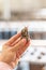 Close up, macro. Child`s hand holds a snail. Vertical oriented