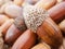 Close up macro detail of an acorn with a pile of acorns