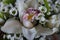 Close up, macro flower bouquets with orchid and white flowers. Holy communion, wedding.