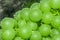 Close-up of macro grapes