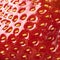 Close-up macro image of fresh strawberry