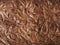 Close-up macro photograph of chocolate cake or brownie texture. abstract surface pattern for background.