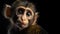 Close up macro shot a charming Capuchin monkey with piercing eyes on dark background