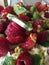 Close up macro shot of fruit salad strawberries and kiwi fruit