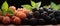 Close-up macro shot of a perfectly arranged expanse of fresh Mulberries