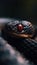 close-up macro of a snake with bright red eyes