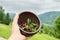 Close up, macro. Someone holds a clay bowl with wild berries bilberries, strawberries. Against the background of the summer