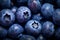 Close up macro texture blueberry berries. Fresh ripe blueberries background. Healthy and vegetarian food concept. Generative AI