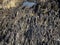 A close up macro view of rock formations by the seashore