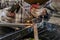 Close up macro of welding in workshop, male welder using electrode