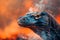 Close Up of a Majestic Blue Lizard with Intense Eyes Against a Fiery Orange Background