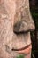 Close up of majestic Giant Leshan Buddha lips and nose