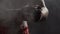 Close-up of male boxer hands clapping together with talcum powder, slow-motion