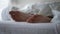 Close-up male Caucasian feet lying in white comfortable bed indoors. Unrecognizable young man sleeping in bedroom at