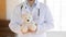 Close up male doctor holding fluffy toy, children healthcare concept