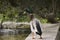 Close-up of a male Duck Anatidae