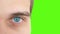 Close up of a male eye. Detail of a blue eye of a man looking at camera on a green background. 3840x2160