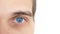 Close up of a male eye. Detail of a blue eye of a man looking at camera on a white background