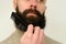 Close-up of male face, young bearded and mustachioed man, guy with 25 - 30 years combs his thick beard, concept of mustache and