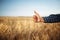 Close up of a male farmer`s hand showing thumb up like sign on the wheat field. Farmer worker glad with a good fruitful crop