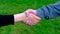 Close-up of male, female hands hold a handshake against the background of green grass, the concept of a meeting of friends, the