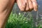 Close-up of male hand holding bread bait on a fishing hook. The process of hooking the bait. Fishing stage, background with copy