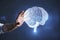 Close up of male hand holding glowing human brain hologram on blurry wall background. Neurology research and artificial