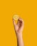 Close up of male hand holding juicy lemon on orange background, panorama