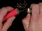 Close up of male hand lighting up a red firecracker on black background