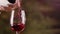 Close up male hand pouring red wine in glass from bottle slow motion