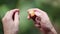 Close up of male hands of clean fresh thai salak on a blurred green background. 1920x1080