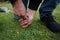 Close up of male hands pegging down a tent on grass.